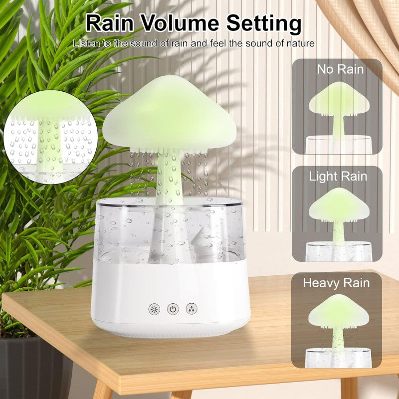 Rain Cloud humidifier